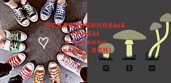 прущая мука Арсеньев