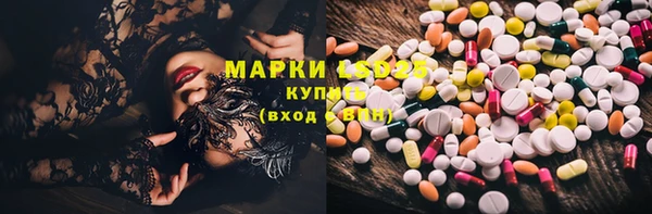 бошки Аркадак