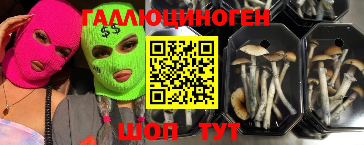 Псилоцибиновые грибы мицелий  Вход с VPN  купить наркотики цена  Рыбинск  Псилоцибиновые грибы Magic Shrooms 