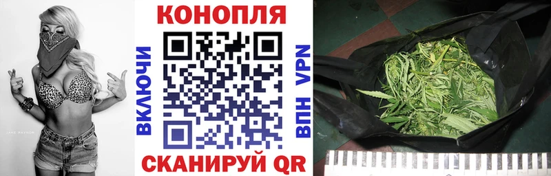 Конопля Bruce Banner  как найти наркотики  Рыбинск 